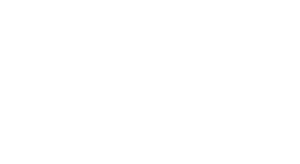 BMC Air Filter